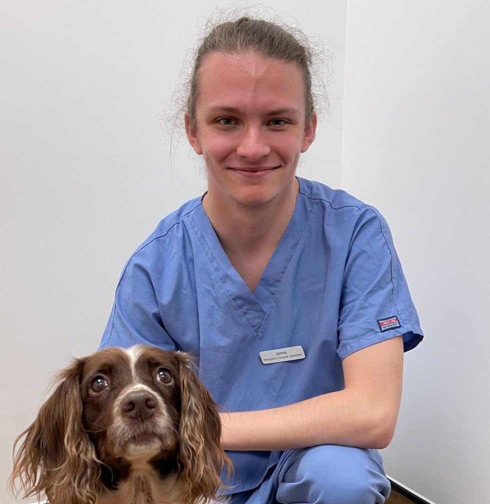 Meet the Nurses Bay Vet Group Teignmouth,Dawlish,Torquay, Paignton