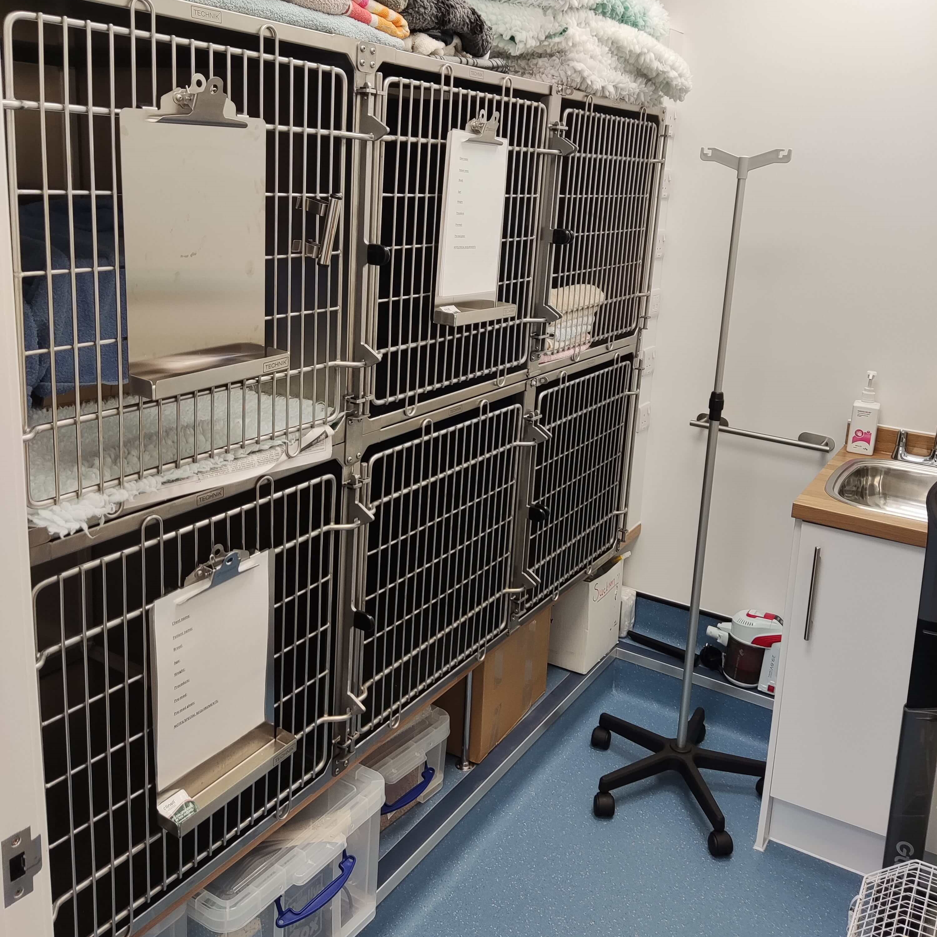 Cattery